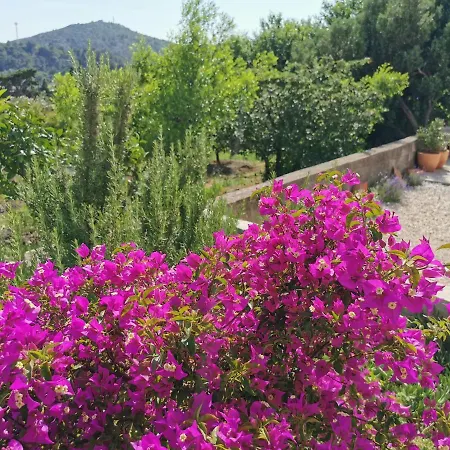 Blue Mediteran Mlini