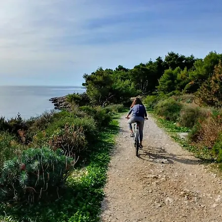 Blue Mediteran Lejlighed