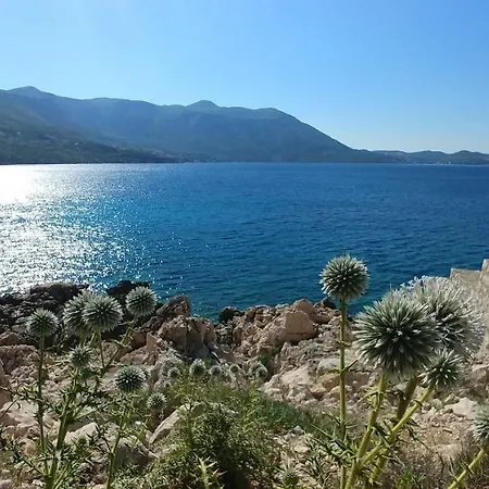 Blue Mediteran * ムリニ